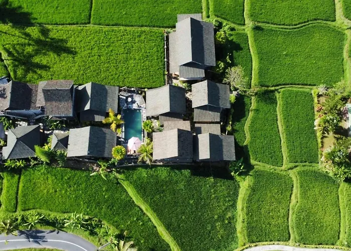 بيت ضيافة Private Entrance Bliss Pet-friendly Bali Retreat 3*