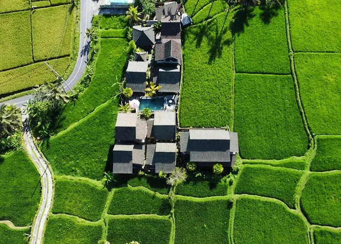 Private Entrance Bliss Pet-friendly Bali Retreat بيت ضيافة أوبود